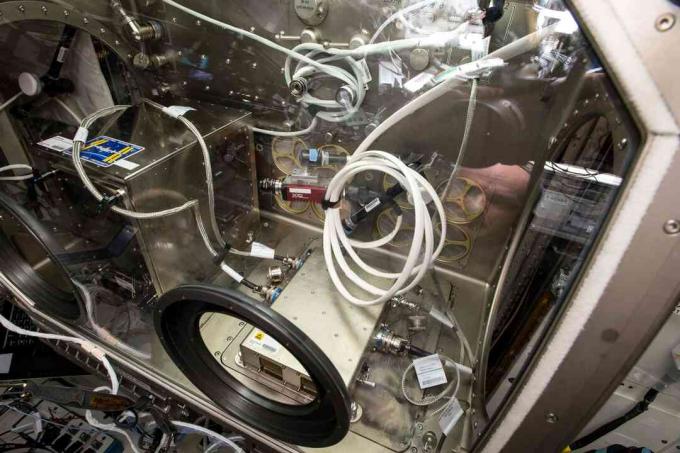 Die Besatzungsmitglieder der Internationalen Raumstation arbeiten mit einem 3D-Drucker in der Microgravity Science Glovebox