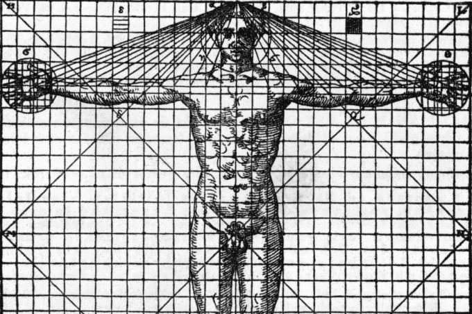 Schwarzweiss-Darstellung der Front des menschlichen Mannes auf einem Diagramm mit Linien, die Symmetrie und Proportionen zeigen