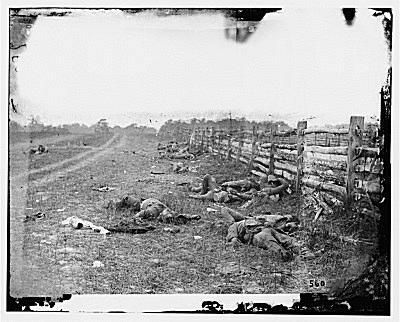 Tote Konföderierte in Antietam
