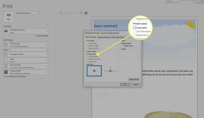 Ein Screenshot des Bildschirms „Erweiterte Ausgabeeinstellungen“ von Publisher mit hervorgehobener Option „Schnittmarken“