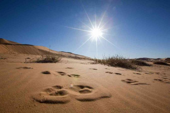 Sanddünen gegen blauen Himmel und helle Sonne