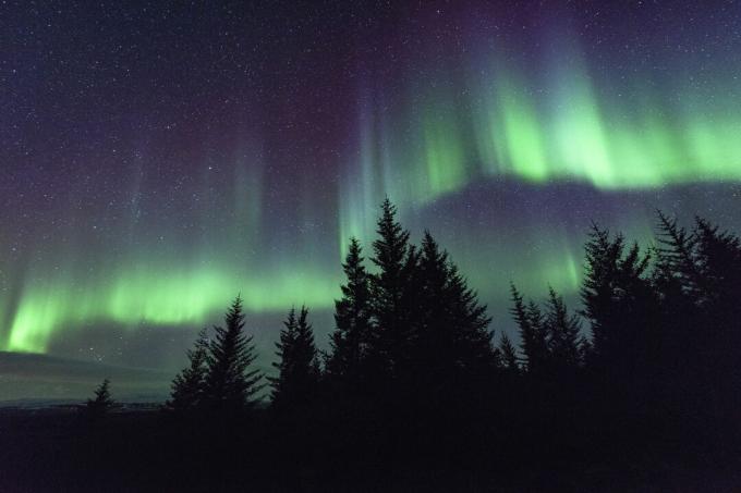 Die Linien in der Aurora folgen den Magnetfeldlinien der Erde.