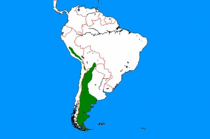 Karte der Guanaco-Reichweite