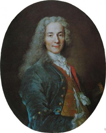Voltaire, Porträt