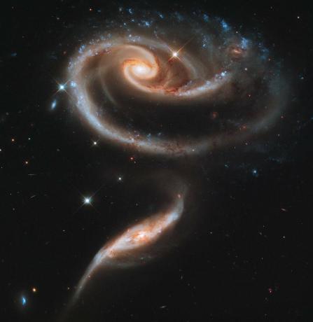 Hubble Rose Galaxien