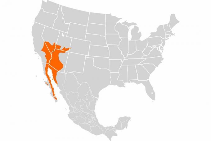 Karte der gemeinsamen Chuckwalla Range.