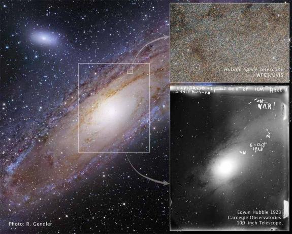 Die von Hubble beobachtete Cepheid-Variable in Andromeda.