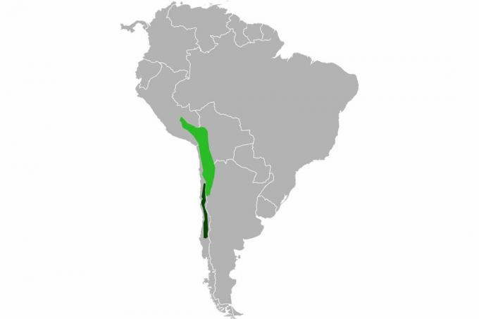 Karte der Chinchilla Range