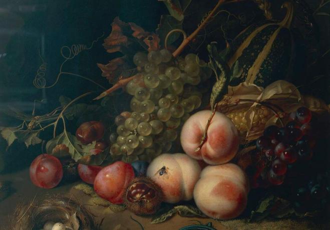 Comp Save to Board Italien, Florenz, Stillleben mit Früchten und Insekten von Rachel Ruysch, 1711, Öl auf Leinwand, Detail