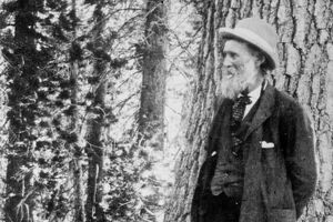Foto von John Muir im Wald