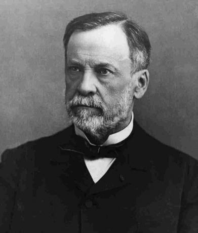 Wissenschaftler Louis Pasteur