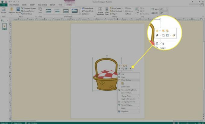 Ein Screenshot von Microsoft Publisher mit den hervorgehobenen Bildoptionen