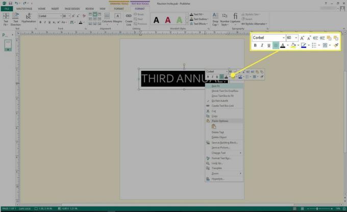 Ein Screenshot von Microsoft Publisher mit hervorgehobenen Textformatierungstools