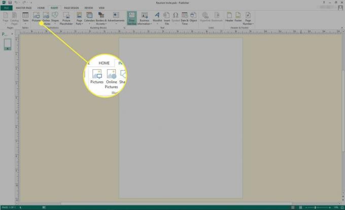 Ein Screenshot von Microsoft Publisher mit den hervorgehobenen Optionen zum Einfügen von Bildern und Online-Bildern