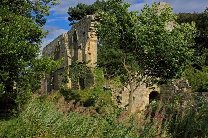 Jervaulx Abbey, in der Nähe von Masham, North Yorkshire, England