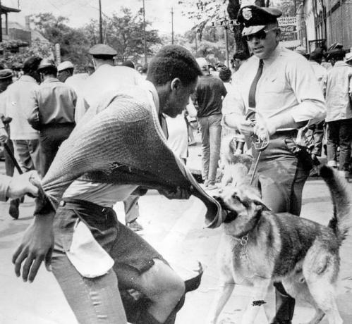 Ein schwarzer amerikanischer Demonstrant wird bei Demonstrationen gegen Rassentrennung von einem Polizeihund angegriffen, Birmingham, Alabama, 4. Mai 1963.