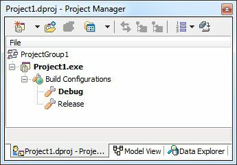 Delphi Projektmanager