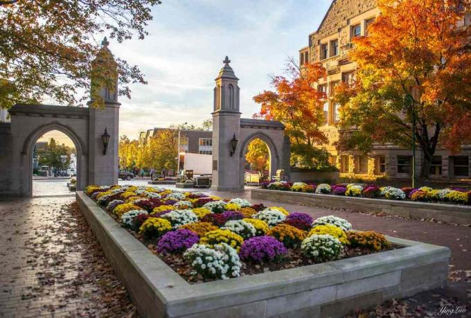 Liebe meine Schule, besonders im Herbst - Indiana University of Bloomington