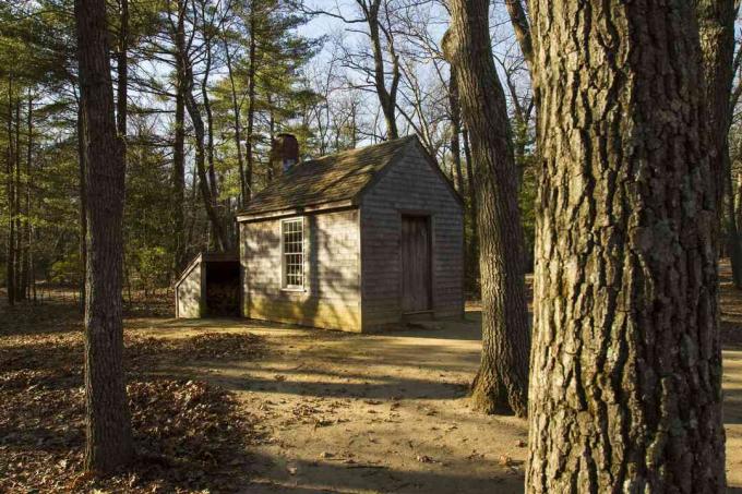 Thoreaus Hütte am Walden Pond