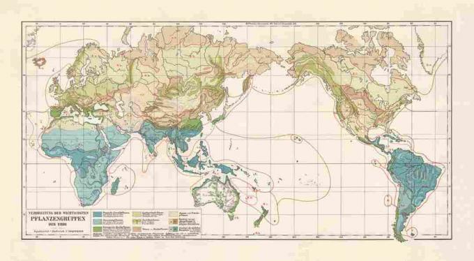 Vegetationszonen der Welt, Lithographie, veröffentlicht 1897