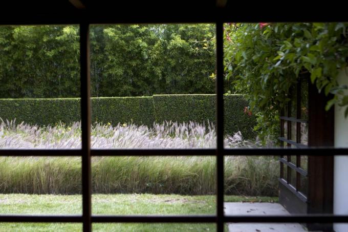 Der Garten aus einem Innenraum des Schindler House von 1922 in Los Angeles, Kalifornien