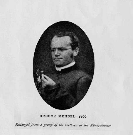 Der österreichische Botaniker Gregor Mendel