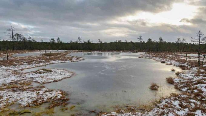 Estnischer Torfmoorsee im Winter
