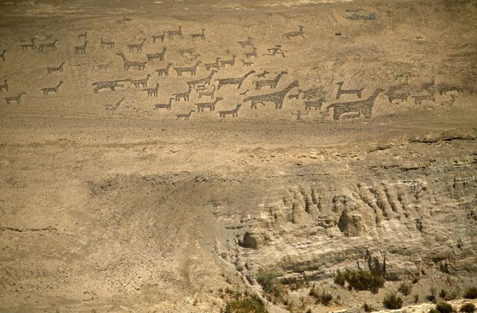 Chile, Region I, Tiliviche. Geoglyphen auf einem Berghang in der Nähe von Tiliviche, Nordchile - Darstellungen von Lamas & Alpakas