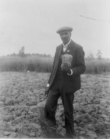 George Washington Carver, Porträt in voller Länge, auf dem Feld stehend, wahrscheinlich in Tuskegee, mit einem Stück Erde, 1906