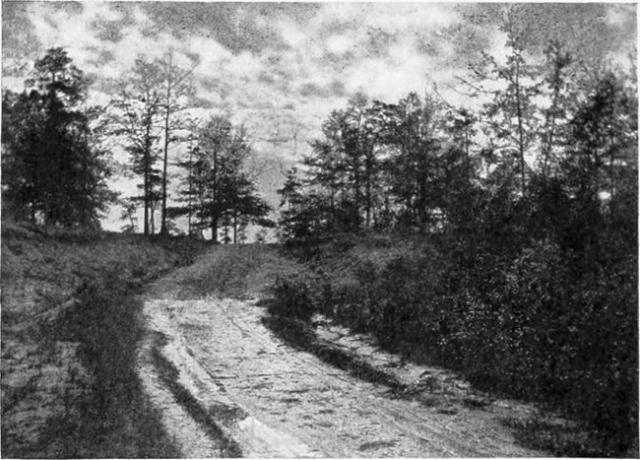 Ort, an dem Aaron Burr gefangen genommen wurde, in der Nähe von Wakefield, Alabama.
