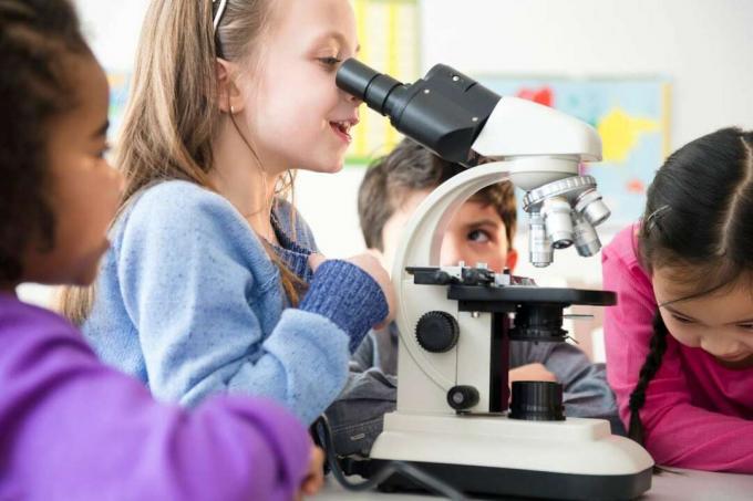 Vier Kinder führen ein wissenschaftliches Experiment mit einem Mikroskop durch, um Beobachtungen zu machen