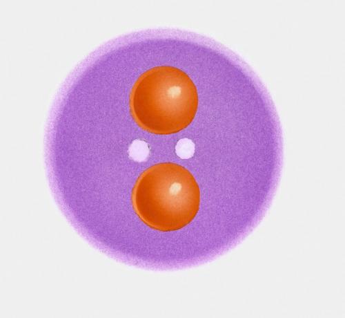 Pi-plus-Meson, eine Art Hadron, das Quarks (in Orange) und Gluonen (in Weiß) zeigt