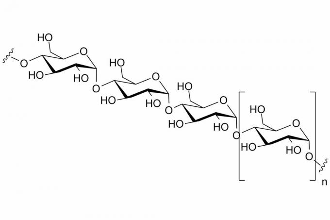 Amylose, die durch alpha-glycosidische Bindungen verbunden ist