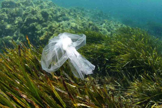 Plastiktüte auf See. Diese können für Meeresschildkröten gefährlich sein, die sie für Lebensmittel wie Quallen halten.