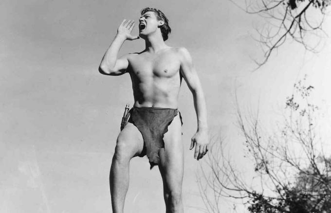 Johnny Weissmüller porträtiert Tarzan