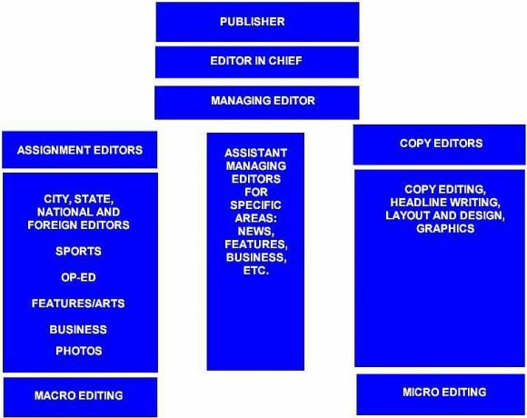 Newsroom-Hierarchiediagramm.